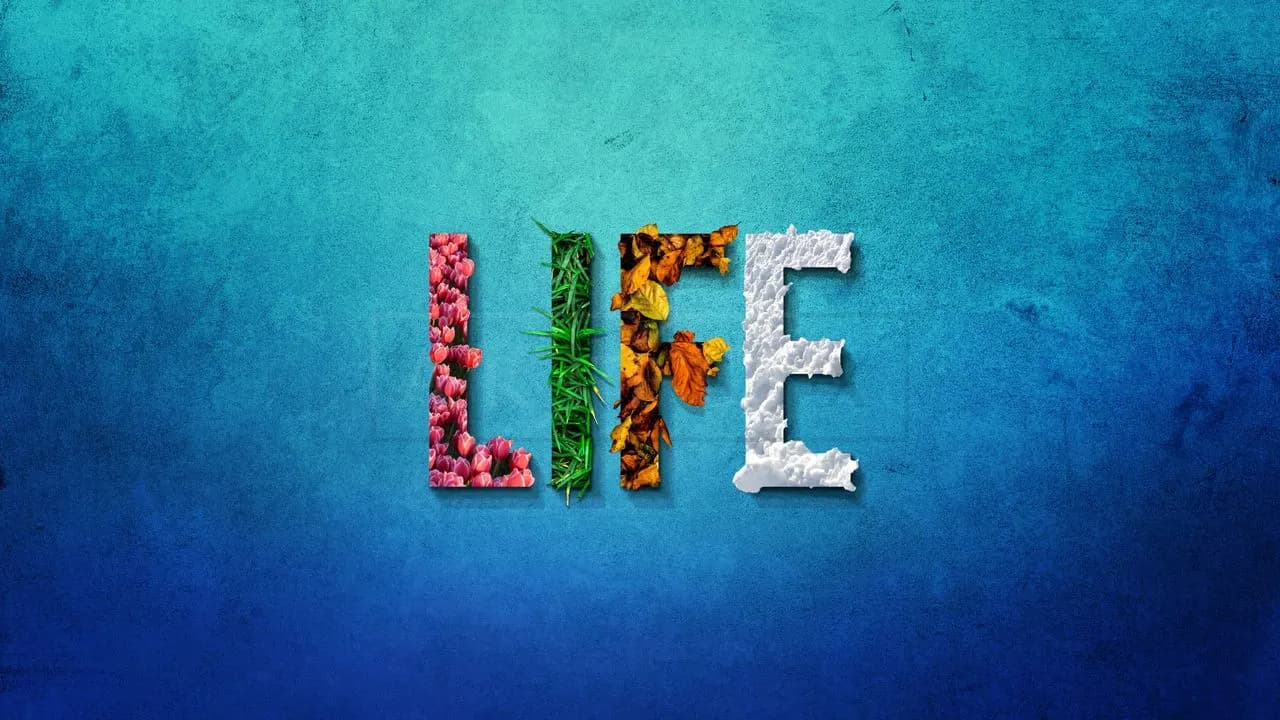 Life Through the Seasons metal wall art by Artelyx Studios