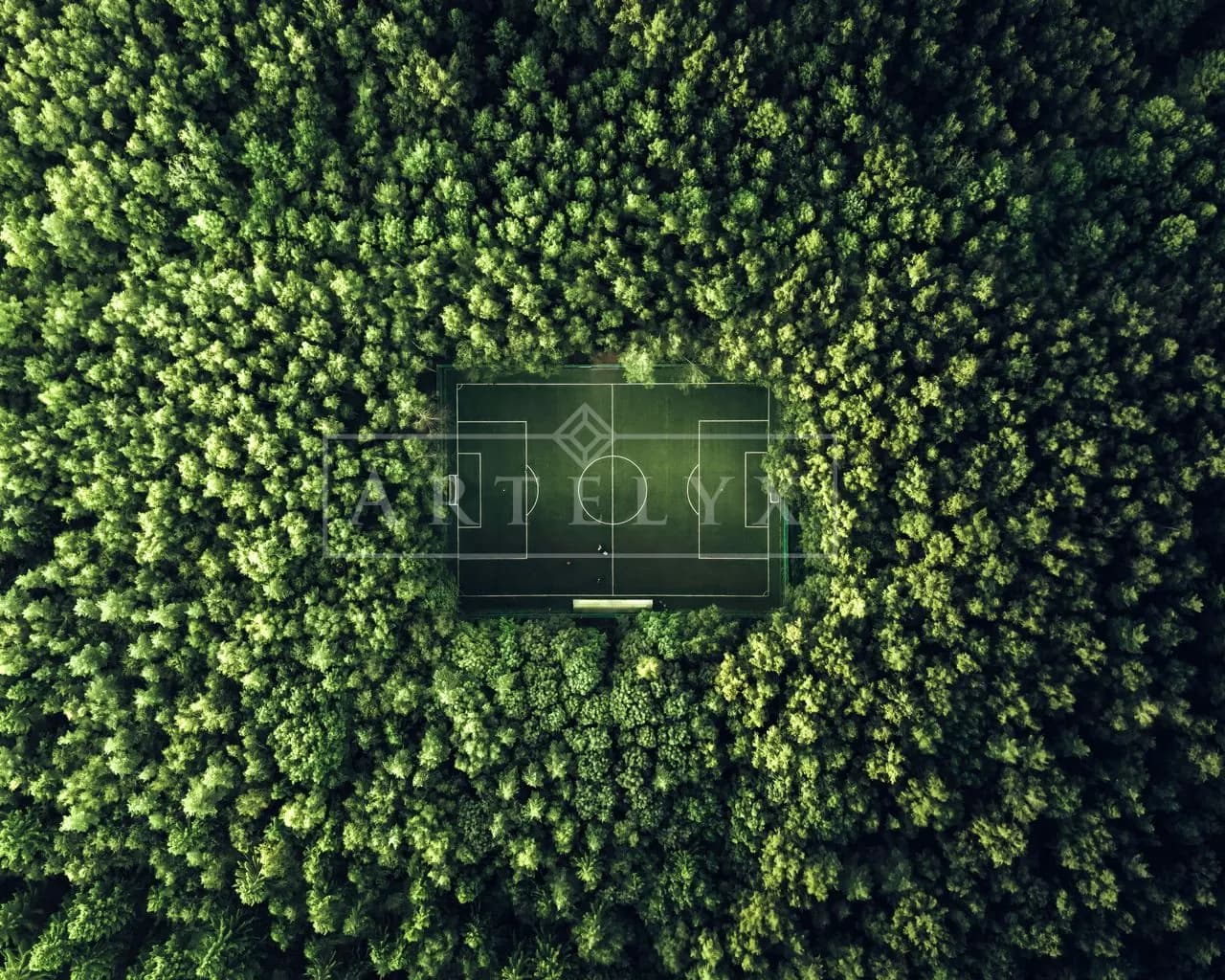 Hidden Forest Soccer Field Aerial metal wall art by Artelyx Studios