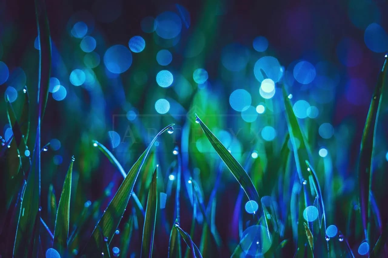 Blue Dew Grass Macro Wallpaper metal wall art by Artelyx Studios