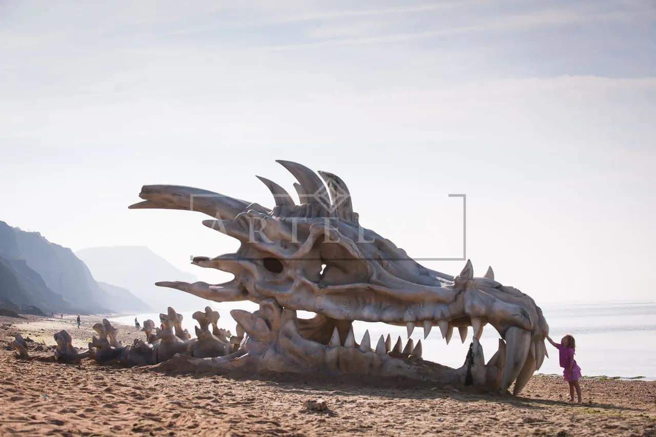 Dragon Bones on the Shore metal wall art by Artelyx Studios