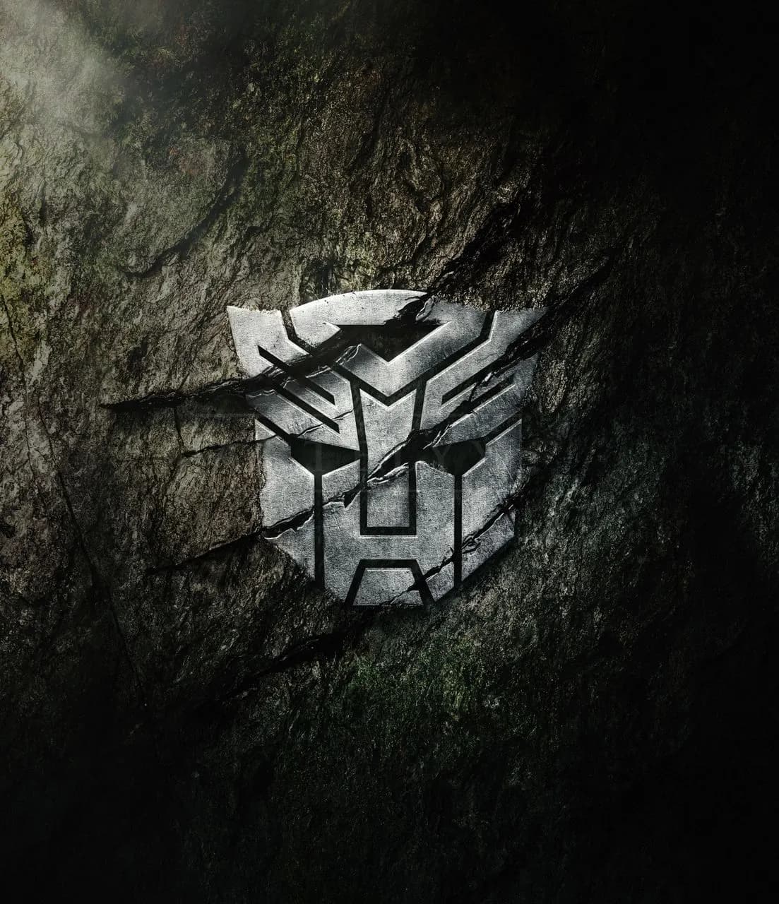 Metal Emblem in Stone metal wall art by Artelyx Studios