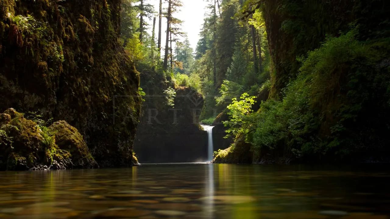 Hidden Waterfall in Mossy Forest Gorge metal wall art by Artelyx Studios
