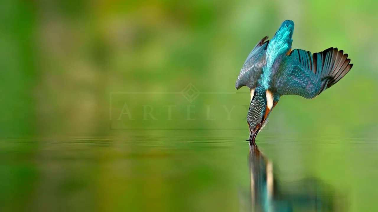 Kingfisher Strike metal wall art by Artelyx Studios
