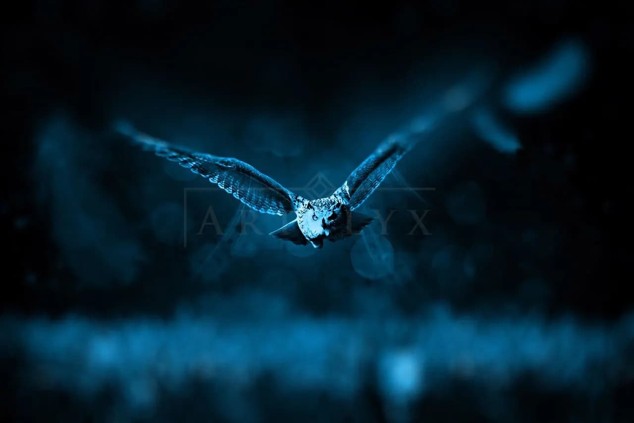 Moonlit Owl Flying Through Blue Forest metal wall art by Artelyx Studios